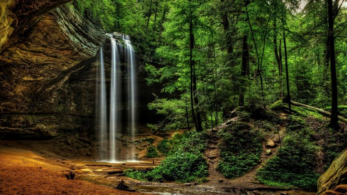 Waterfall in a lush green forest in the USA