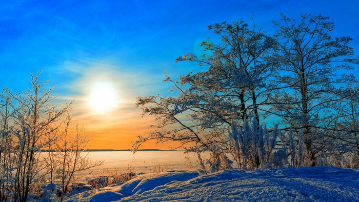 Winter Sunset Over Snowy Trees and Frozen Lake