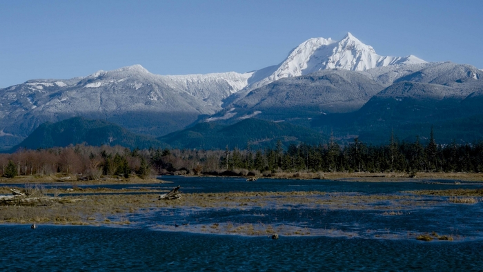 Snow-capped mountains over a lake and forest