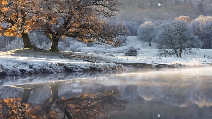 Frosty trees reflected in a misty lake at sunrise