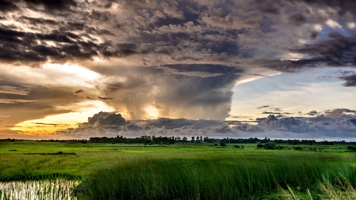 Storm clouds over a green field at sunset