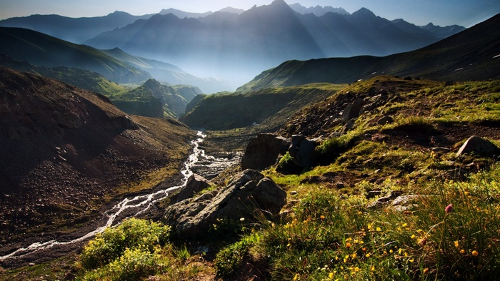 Mountain valley with a river and wildflowers