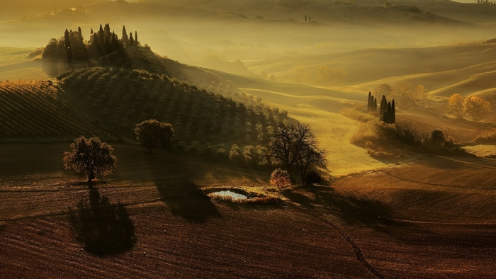 Tuscany landscape with fog and cypress trees
