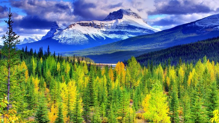 Autumn forest with snow-capped mountains and clouds