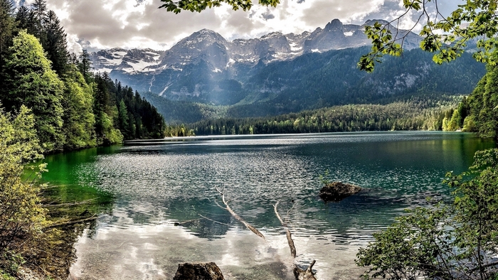 Mountain lake with pine forest and rocky peaks