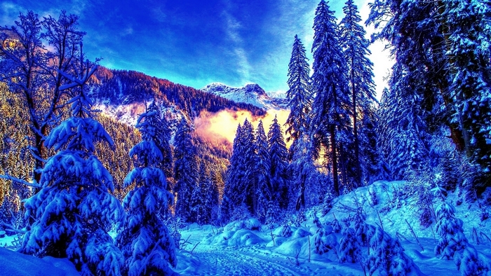 Snowy forest with mountains and blue sky