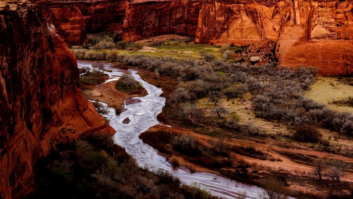 River flowing through a red rock canyon with sparse trees