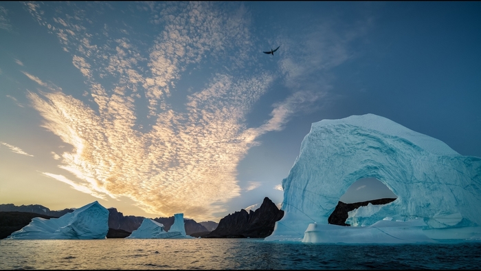 Icebergs in the ocean under a cloudy sky with a bird flying