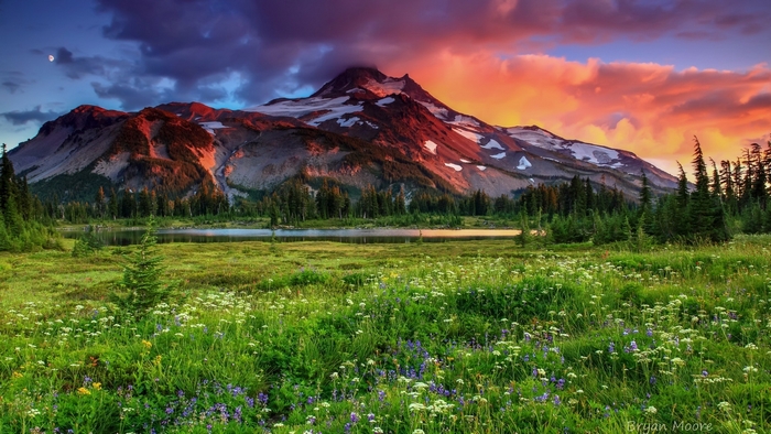 Mountain peak at sunset over a wildflower meadow