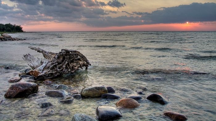 Driftwood and rocks on a beach at sunset