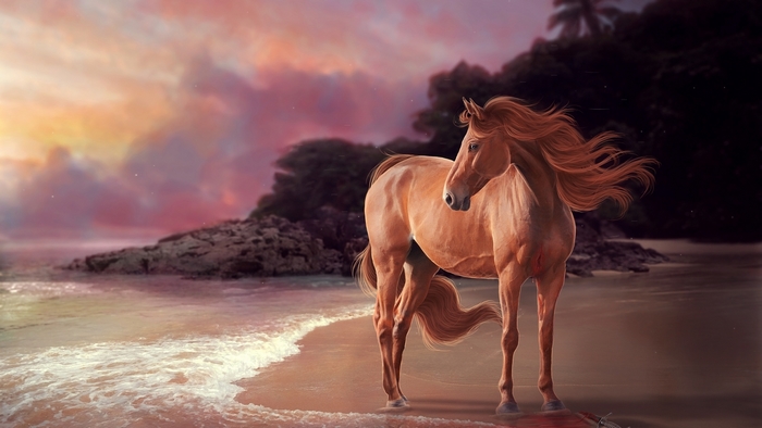 Majestic Horse Standing on a Beach at Sunset