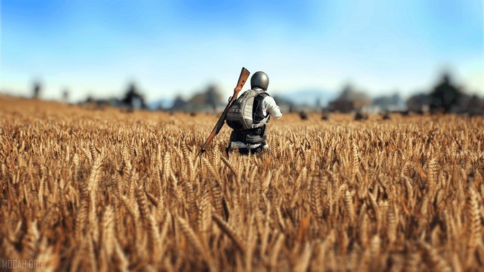 PUBG soldier in golden wheat field