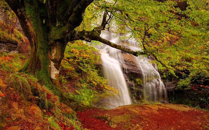 Waterfall in a mossy forest during autumn