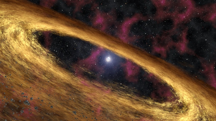Black hole accretion disk with a bright star