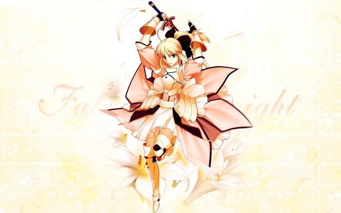 Saber Lily from Fate/knight