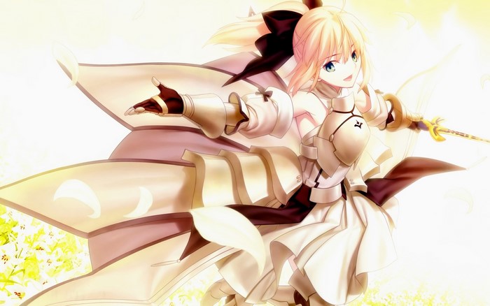 Saber Lily from Fate/Unlimited Blade Works