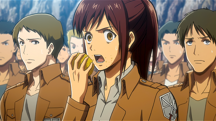 Sasha Blouse from Attack on Titan