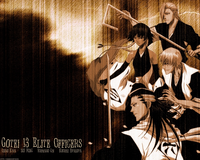 Gotei 13 Elite Officers from Bleach