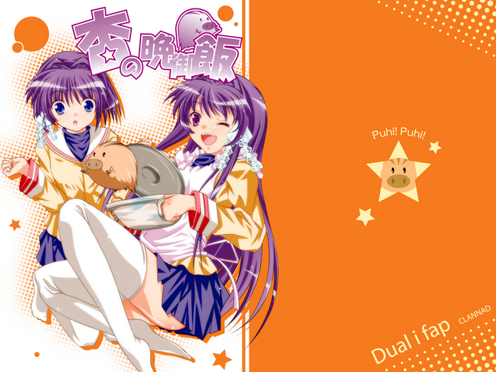 Ryou Fujibayashi from CLANNAD
