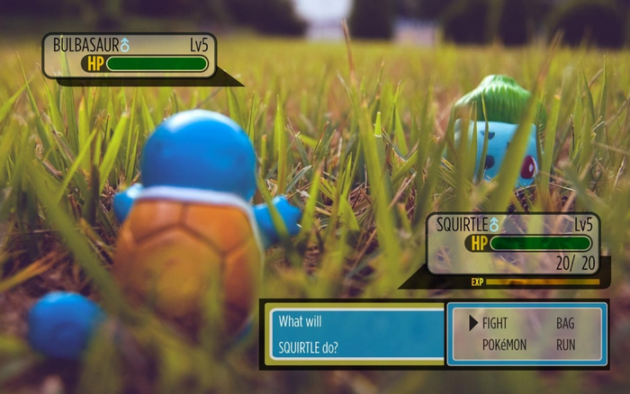 Squirtle and Bulbasaur from Pokémon