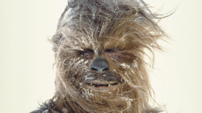 Chewbacca from Star Wars in snow