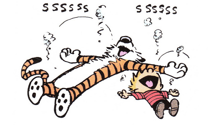 Calvin and Hobbes falling