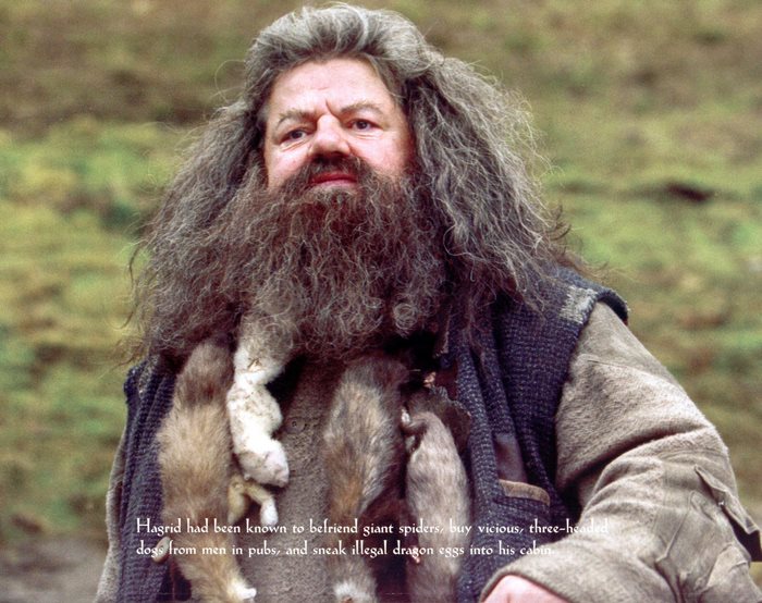 Rubeus Hagrid from Harry Potter