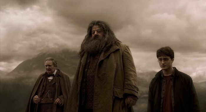 Harry Potter and Rubeus Hagrid in a landscape