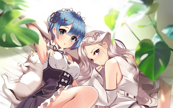 Rem and Emilia from Re:ZERO