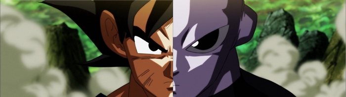 Goku and Jiren from Dragon Ball