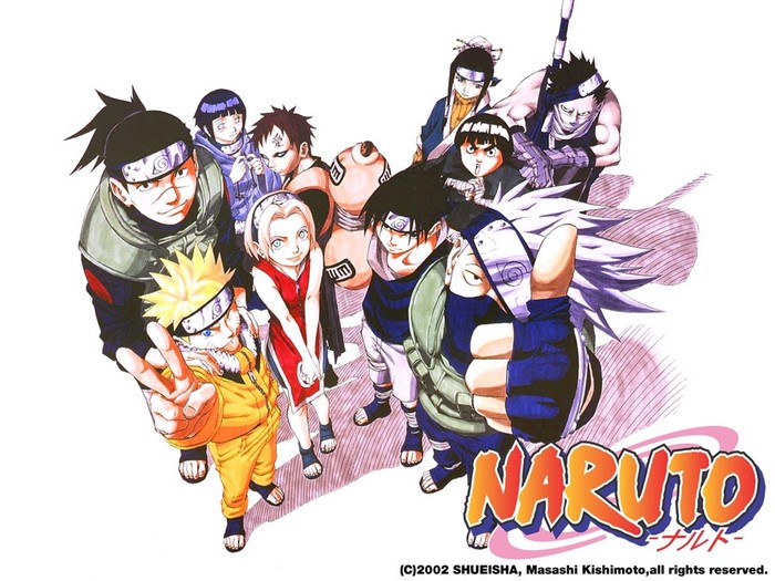 Naruto characters group pose