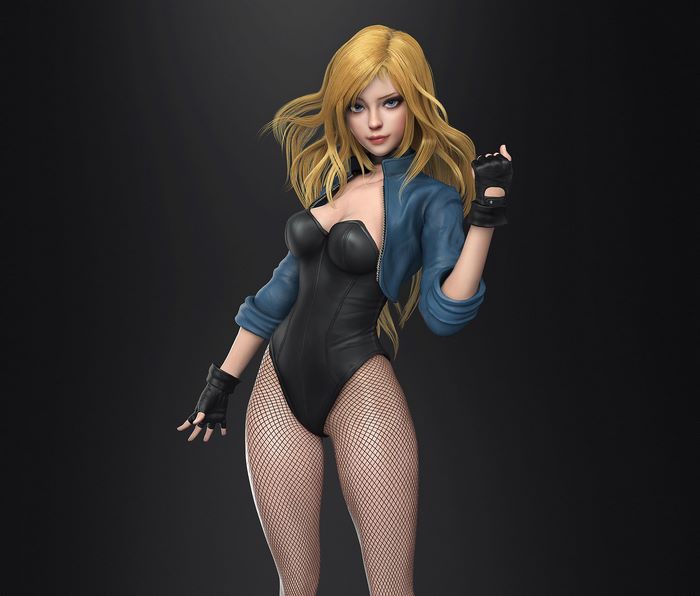 Black Canary from DC Comics