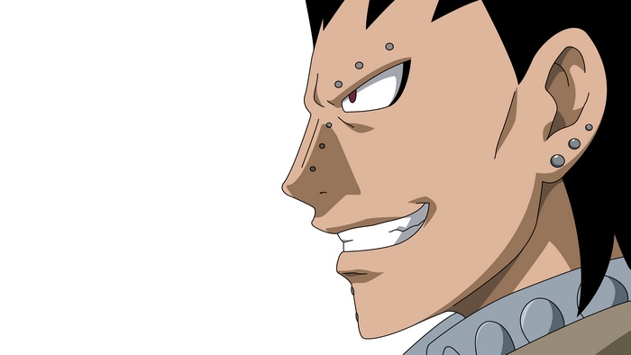 Gajeel Redfox from Fairy Tail