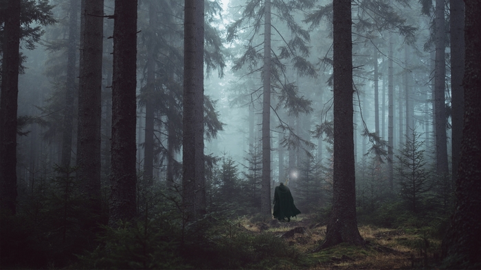 Guts from Berserk in Foggy Dark Forest