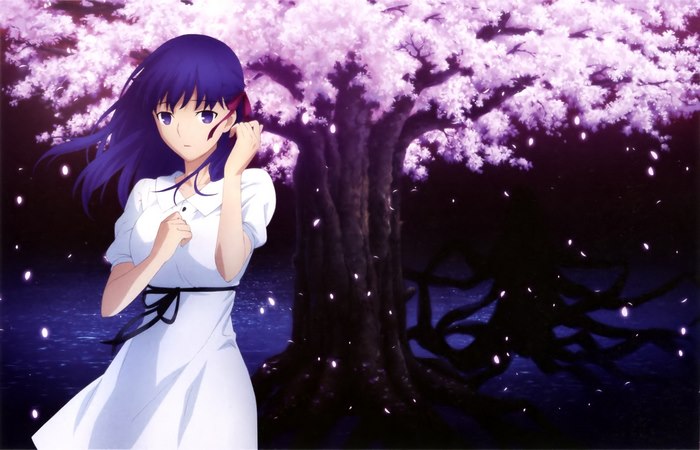 Sakura Matou from Fate/stay night