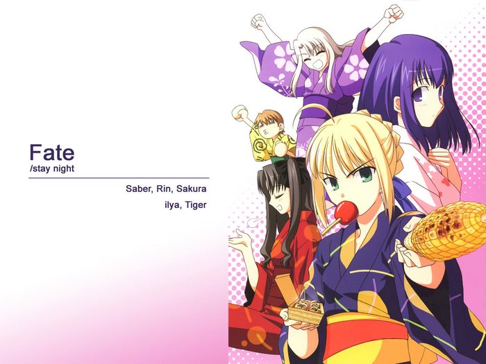Fate/stay night characters Saber, Rin, Sakura, Illya, and Tiger
