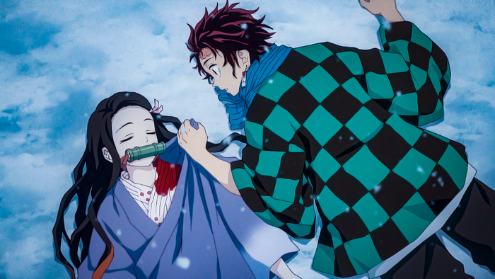 Tanjirou and Nezuko from Demon Slayer