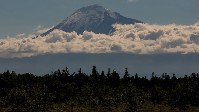 Snow-capped mountain above clouds and forest