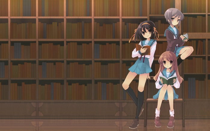 The Melancholy of Haruhi Suzumiya characters in library