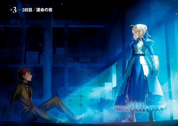 Shirou Emiya and Saber from Fate/stay night