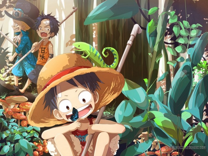 Luffy, Ace, and Sabo from One Piece in a forest
