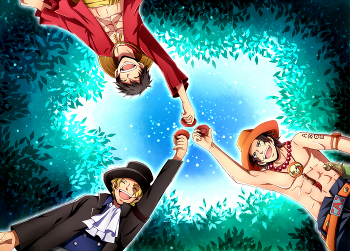 Luffy, Ace, and Sabo from One Piece