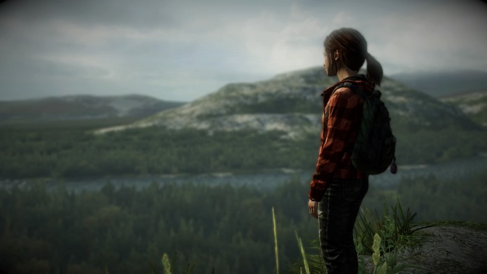 Ellie from The Last of Us overlooking a landscape