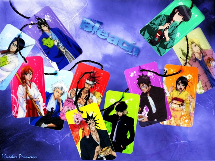 Bleach characters on tags