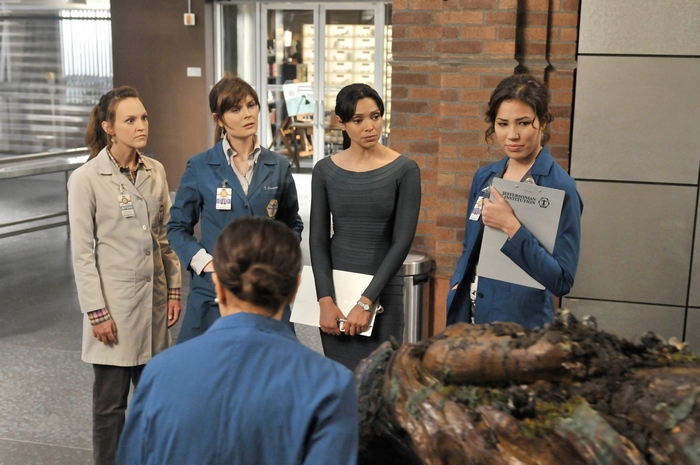 Temperance Brennan and colleagues examine remains