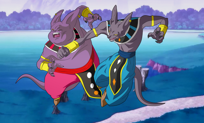 Beerus and Champa fighting