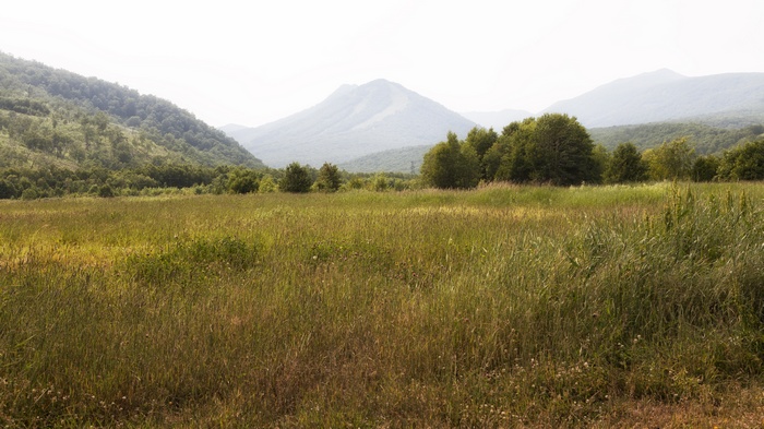 Grassy field with mountains in the background