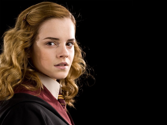 Hermione Granger from Harry Potter