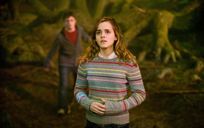 Hermione Granger from Harry Potter