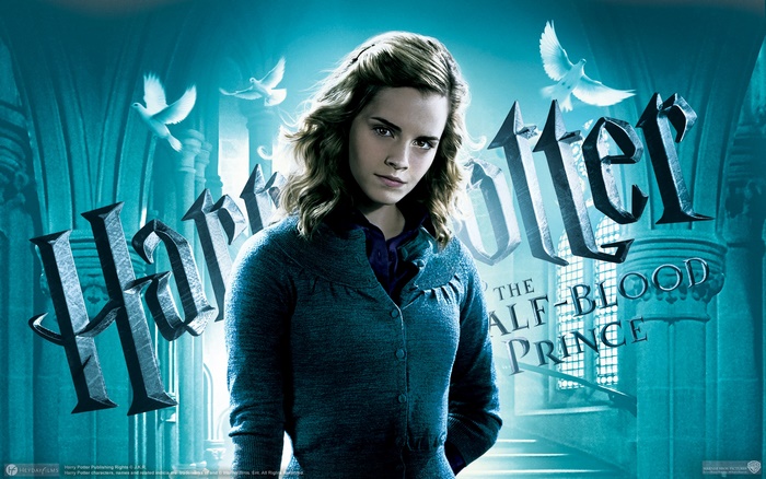 Hermione Granger from Harry Potter and the Half-Blood Prince
